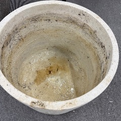 鉢の画像
