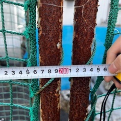 バッティング、ドッグラン用フェンスの画像