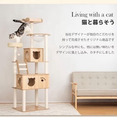 【おしゃれキャットタワー】木製×クリアボウル付き｜多頭飼いにも◎の画像
