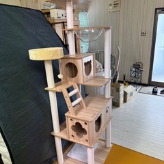 【おしゃれキャットタワー】木製×クリアボウル付き｜多頭飼いにも◎の画像