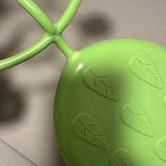 プーメリーの画像