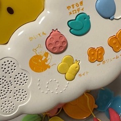 プーメリーの画像