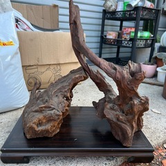 無料　木の根の置物の画像