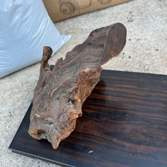 無料　木の根の置物の画像