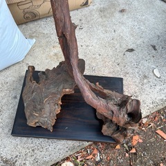 無料　木の根の置物の画像