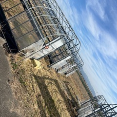 中古ハウスの画像