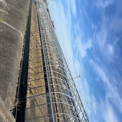 中古ハウスの画像