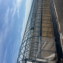 中古ハウスの画像