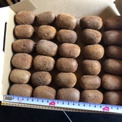 【取引希望日時を複数提示ください】キウイフルーツ （緑）小さいですの画像