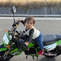 kawasaki KSR80 走りの2ストロークの画像