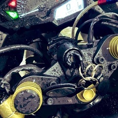 Ninja250/EX250L/2014年式の画像