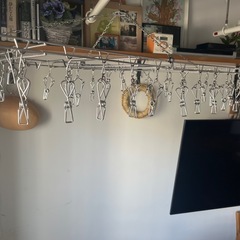 ピンチハンガーの画像