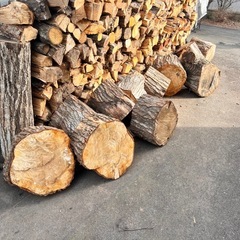 【引取価格】ラスト1台分原木　広葉樹MIXの画像