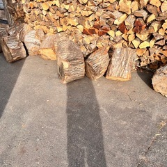 【引取価格】ラスト1台分原木　広葉樹MIXの画像