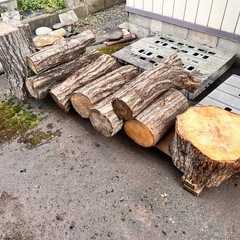 【引取価格】ラスト1台分原木　広葉樹MIXの画像