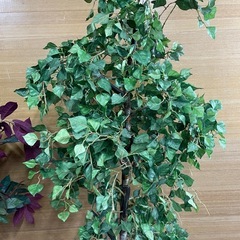 【e20 フェイク観葉植物】 2本セットの画像