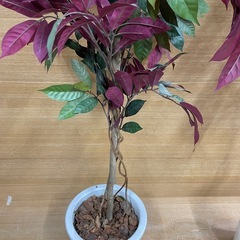 【e20 フェイク観葉植物】 2本セットの画像