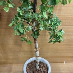 【e20 フェイク観葉植物】 2本セットの画像