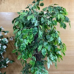 ⭐︎【e5　フェイク観葉植物】2本セットの画像