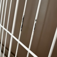 ペットサークルの画像