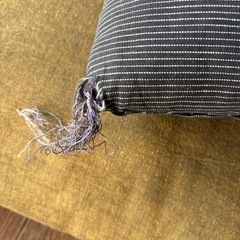 座布団2枚セットの画像