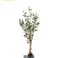 フィカスフェイクグリーン150cmの画像