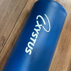 ストレッチポールの画像