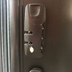 1回のみ使用　キャリーの画像