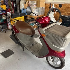 スズキバスケットの画像