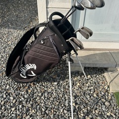 レディース　右利き用　ゴルフセット　フレックスLの画像
