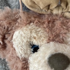 シェリーメイ　コインケースの画像