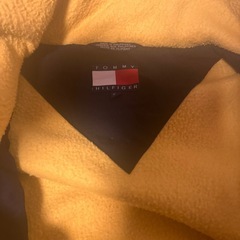 90sトミーフィルフィガーダウン？の画像