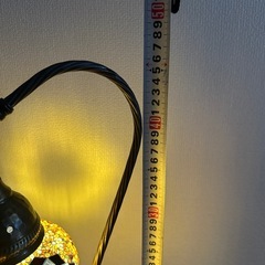 トルコランプの画像