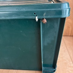 加工済み　コンテナボックス　大　グリーン　の画像