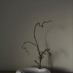 草月流 第三代家元 勅使河原宏創案 花器 陶器 廃盤 生花の画像