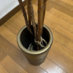 柳 インテリアの画像