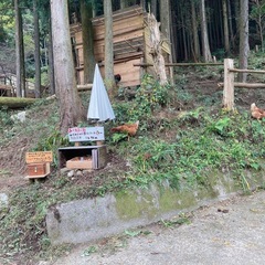 自然たまご　マッチョたまご　の画像