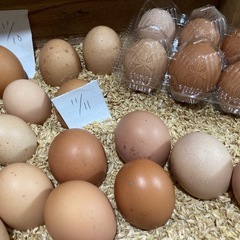 自然たまご　マッチョたまご　の画像