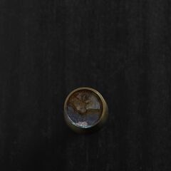 真鍮製の曲線的なデザインの花瓶の画像