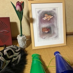 色々なものがの画像