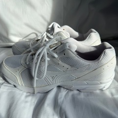 新品未使用 ミズノ MIZUNO マキシマイザー  ランニングシューズ の画像