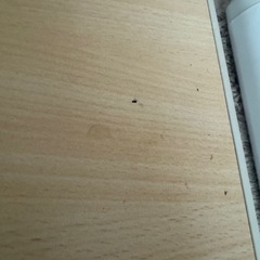 ニトリこたつ【12/28まで】の画像