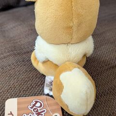 イーブイの画像