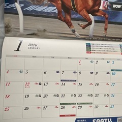 🌺東京ダービー競馬カレンダー2026年
の画像