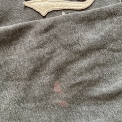 メンズ  エアロポステールパーカーの画像