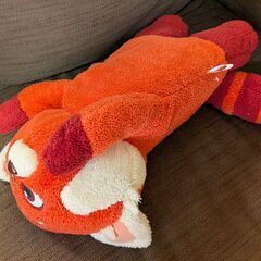 レッサーパンダの画像