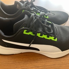 プーマ（PUMA）ランニング／ウォーキング シューズ（SOFTFOAM+）の画像