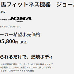 Panasonic（National ブランド）乗馬フィットネス機器　ジョーバ　EU6442の画像