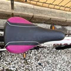 GIANT escape Jr.　子供用自転車の画像