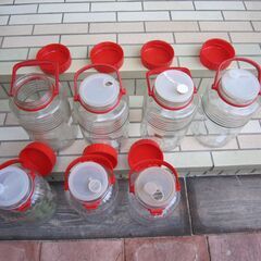 果実酒貯蔵便　7本セットの画像